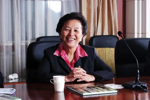 中国红十字会常务副会长江亦曼 