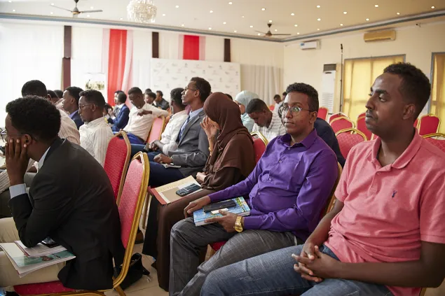 Fellow students as observers
