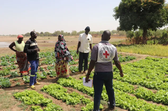 A Fada, le CICR soutient plusieurs activités des communautés pour les aider à bâtir la résilience