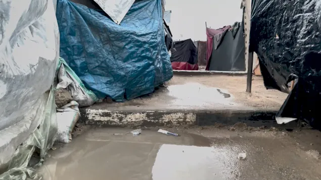Tents soaked with rainwater on wet ground