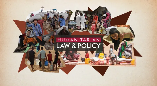 Internally Displaced People law and policy icrc