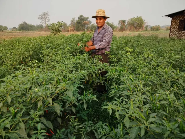 A farmer works in a field in Myanmar.