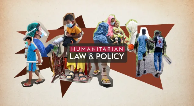 Protected persons Persons with disabilities law and policy icrc