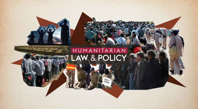 Protected persons Prisoners of war and detainees law and policy icrc 