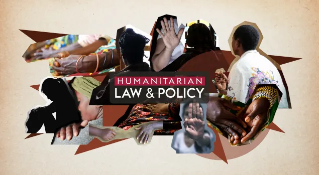 Sexual Violence law and policy icrc
