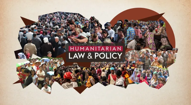protected persons civilians law and policy icrc