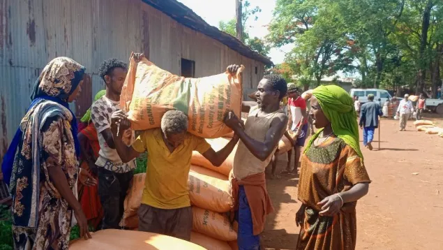 Seed and fertilizer to 1,650 families in Lugo, Haro Aletu, and Meti kebeles of Guto Gida woreda, East Wellega, #Oromia region.