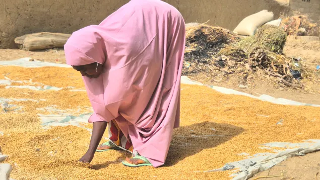 Hassana tending her rice