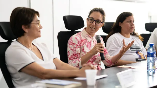 coordenadora do programa de Proteção da Delegação Regional do CICV para o Brasil e o Cone sul