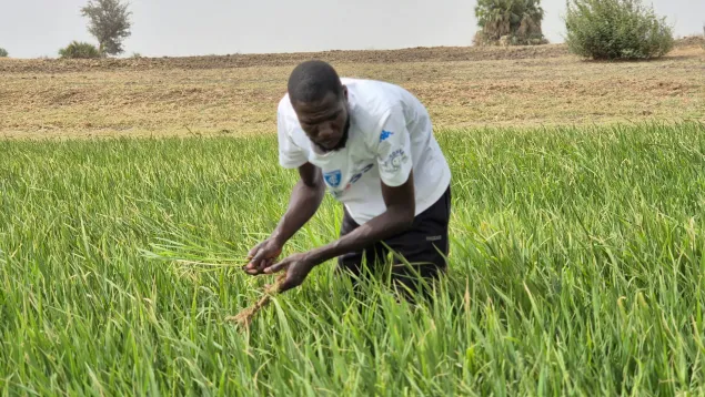 Isiaku at work in his farm