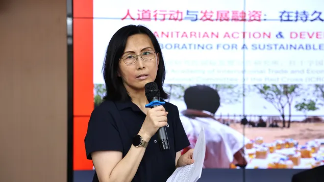 商务部研究院国际发展合作研究所所长王泺