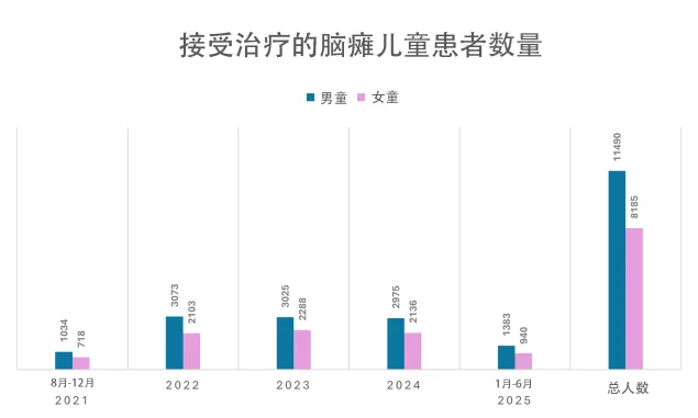 阿富汗：接受治疗的脑瘫儿童患者数量