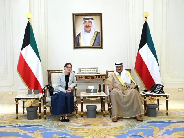 اللجنة الدولية