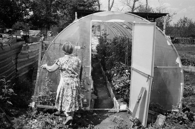 Nataliia leads a tour of her greenhouse in Dovhenke.