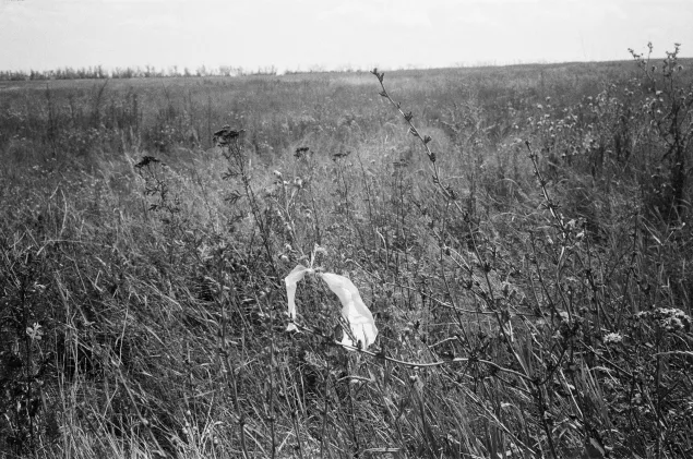 A white ribbon warns that fields outside Sukha Kamianka are contaminated with explosive hazards. 