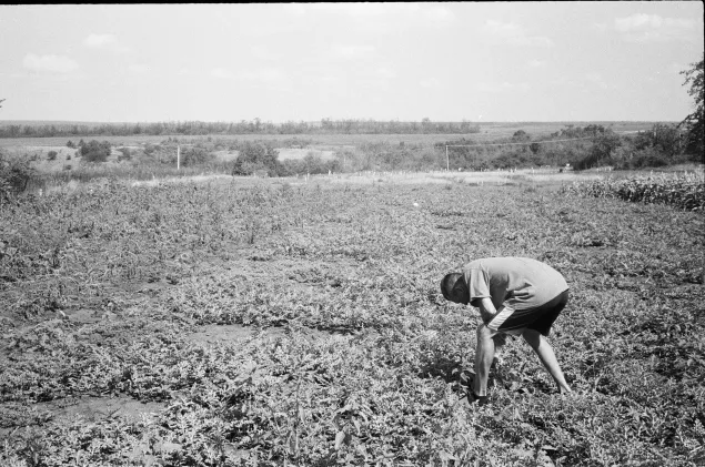 Nataliia and Anatolii's son Ihor in the family farm in Dovhenke.
