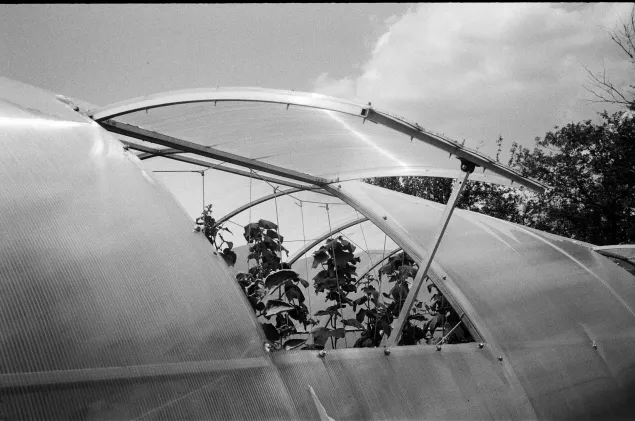 Nataliia and Anatolii received a greenhouse and drip irrigation system from the ICRC. 