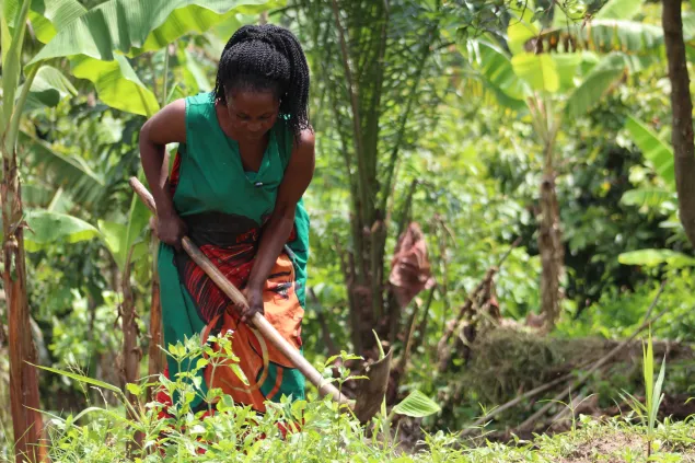 Water Project in Bundibugyo, Uganda