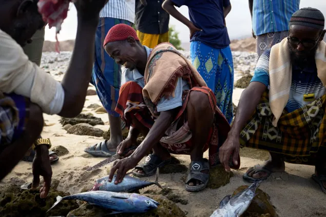Osman limpia la pesca del día junto a otros pescadores en la playa.