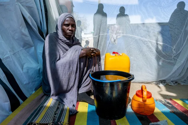 Hawa Adam Abdallah Charfadine, 35 (centre), collected water from a borehole installed by the ICRC near the Tiné transit site, Wadi Fira, Chad.