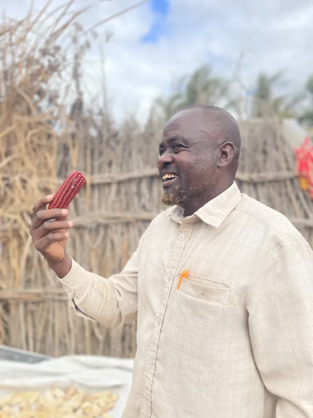 Yusuf shows a different breed of his maize harvest