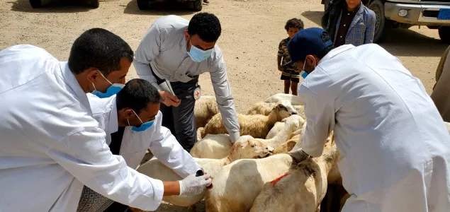 ICRC's humanitarian impact in Yemen 2025