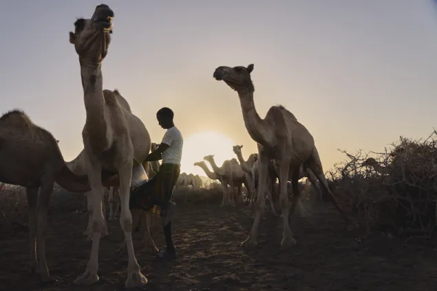 Somalia Drought 