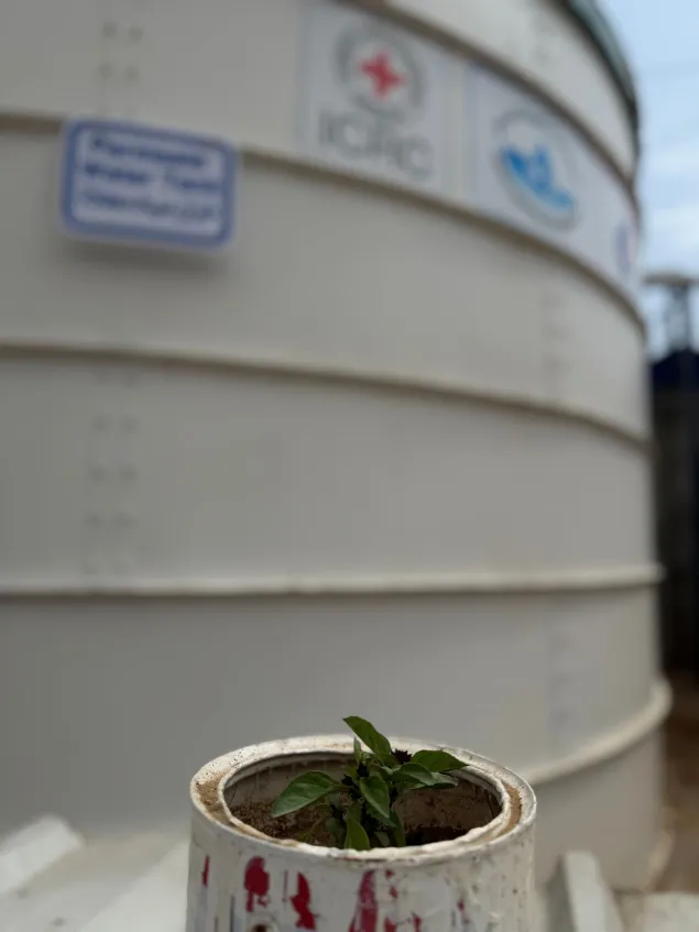 ICRC-supported project at the Al Manshia Desalination Plant. Credit: ICRC