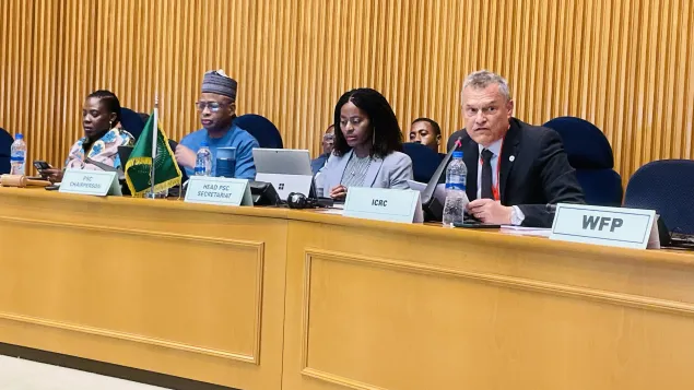 Mr Bruce Biber, ICRC Head of Delegation to the AU