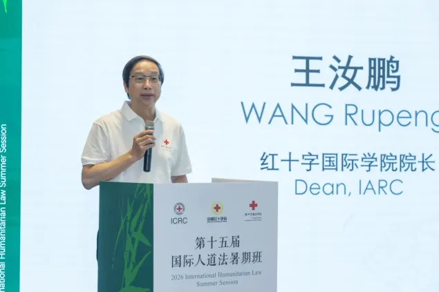 红十字国际学院院长王汝鹏