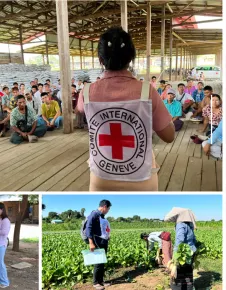 Myanmar Facts and Figures Jan - Dec 2024 cover