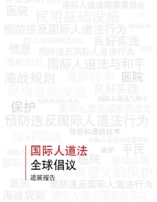 国际人道法全球倡议进展报告