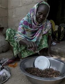 This 57-year-old woman fled her village and the Lake Chad crisis with her seven children after a day of fighting. Today, she makes and sells incense and frangrant oils in Maroua, where she settled. The ICRC granted her cash money to support her business.