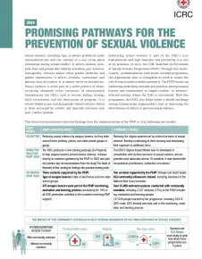 Promising Pathways for the prevention of sexual violence 2024