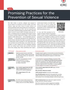 Promising Practices for the Prevention of Sexual Violence 2026