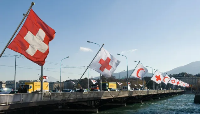 Flags fly at the Mont-Blanc bridge in Geneva, marking the 30th International Conference of the Red Cross and Red Crescent.