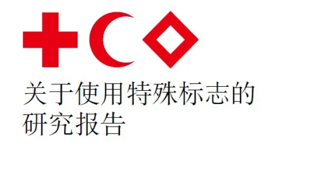 关于使用特殊标志的研究报告