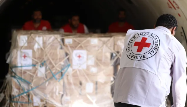 Ahmed Mostafa, logistical coordinator of the ICRC Cairo delegation Aid Convoy in Areesh to Rafah.