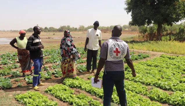 A Fada, le CICR soutient plusieurs activités des communautés pour les aider à bâtir la résilience A Fada, le CICR soutient plusieurs activités des communautés pour les aider à bâtir la résilience