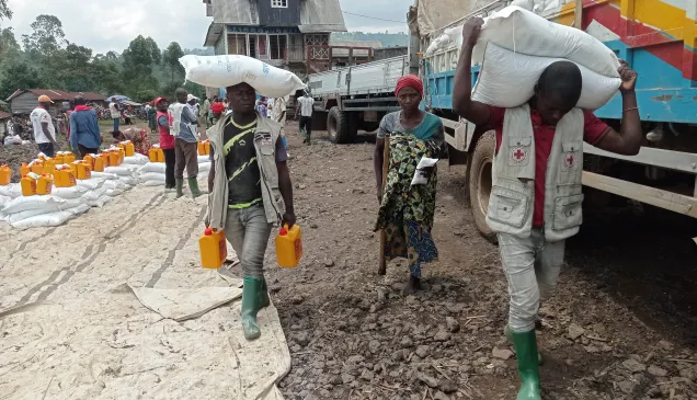 Une bénéficiaire d'une assistance du CICR pour renforcer la sécurité économique des populations du Nord-Kivu, d’octobre à début novembre 2024. Alain Kyro / CICR