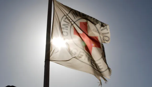 ICRC flag with sun behind