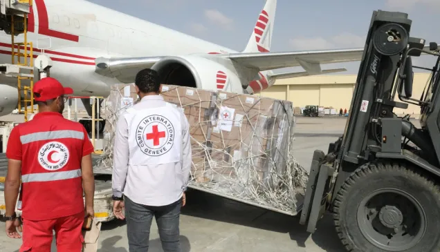 ERC with ICRC staff 