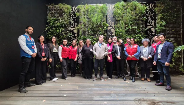 VII Encuentro Amersur RCF