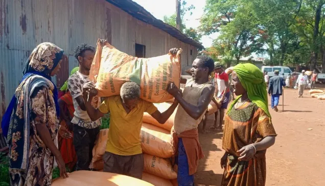 Seed and fertilizer to 1,650 families in Lugo, Haro Aletu, and Meti kebeles of Guto Gida woreda, East Wellega, #Oromia region.