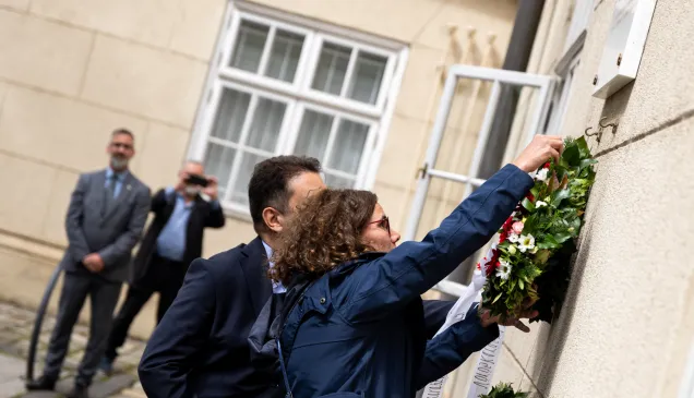 Hungary May 8 celebrations