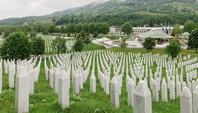 ICRC Missing Srebrenica graves images