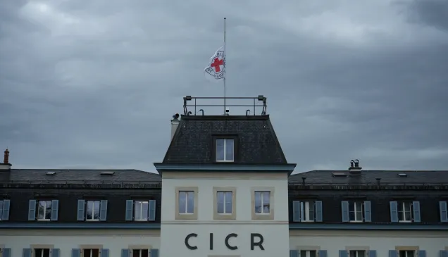 Emblem hallf mast