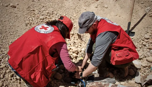 Note: The items in this picture were assessed as safe to be moved by ICRC staff who are qualified and experienced specialists conducting explosive ordnance disposal under strict safety rules. The ICRC strongly discourages all persons not qualified in explosive ordnance disposal from attempting any form of touching, moving or removing (demining) of explosive ordnance themselves.