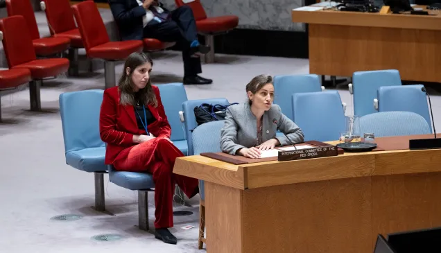 UNSC OD on AI and IHL