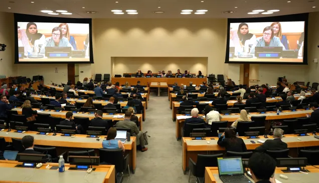 UNGA80 SE on Middle East
